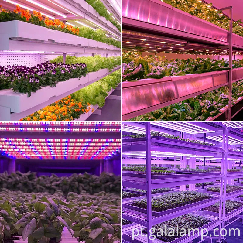 Espectro completo T8 LED LUZ LUZ para crescimento de plantas internas